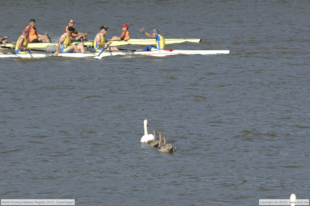 World Rowing Masters Regatta 2016 | Copenhagen | Lake Bagsvaerd