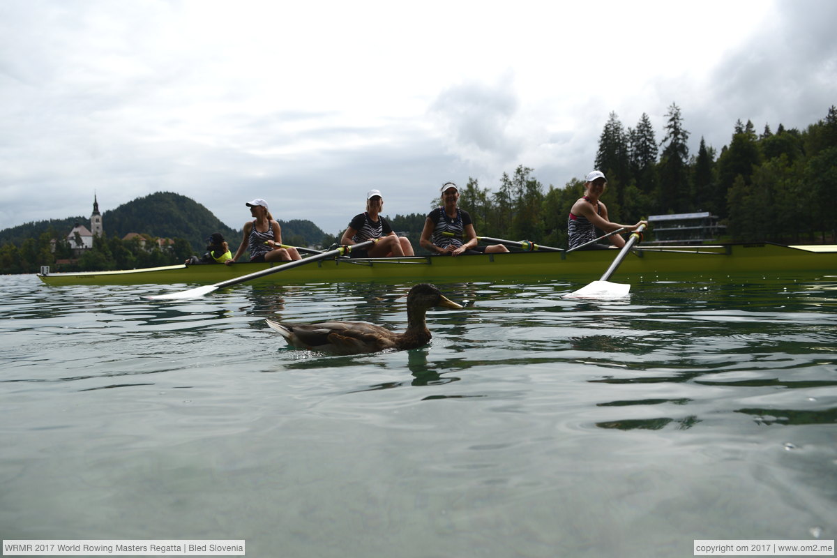 Photo Foto WRMR 2017 World Rowing Masters Regatta | Bled Slovenia