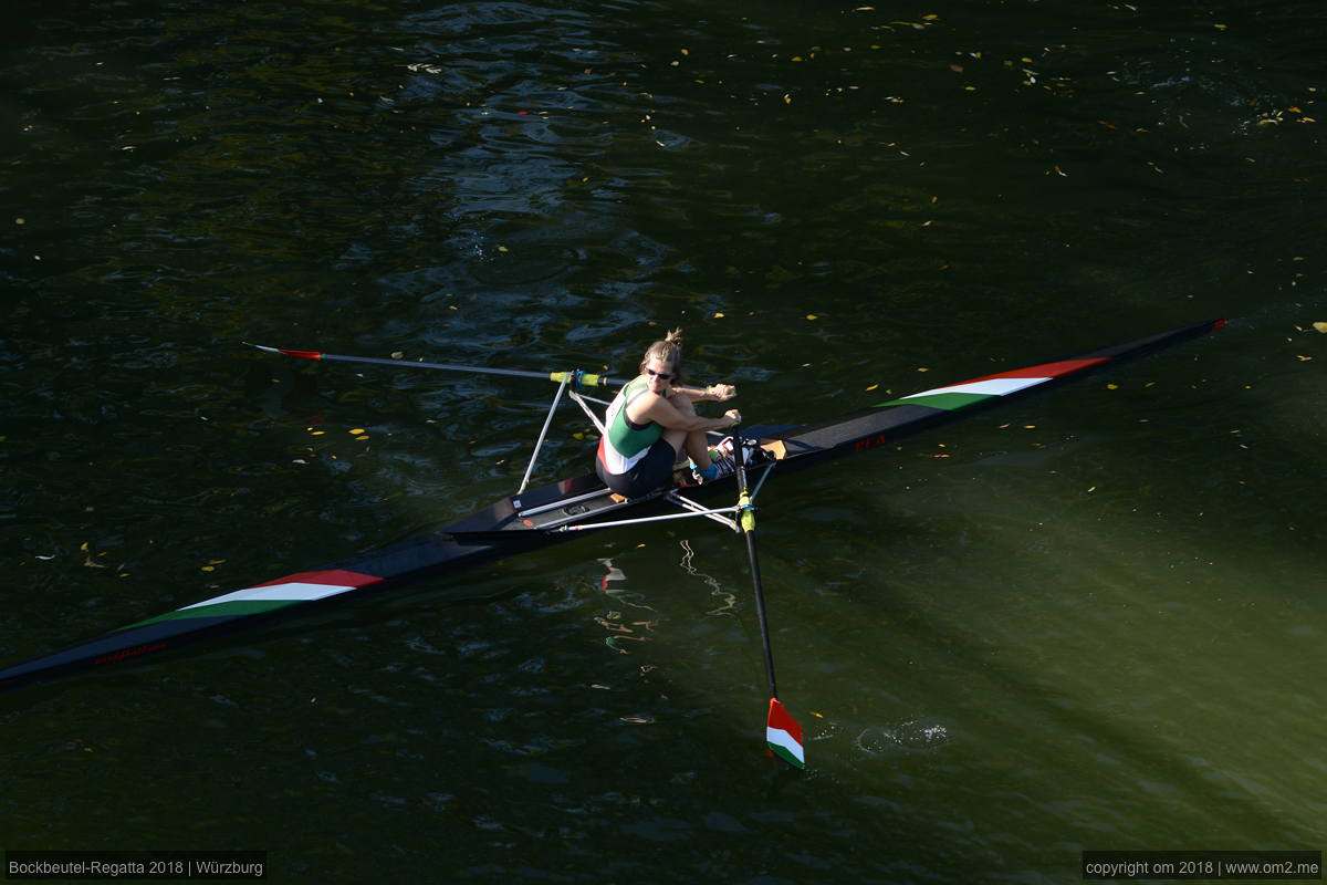 Fränkische Bocksbeutel-Regatta 2018 in Würzburg